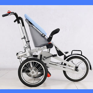 Variety Parent-Child Twins Stroller